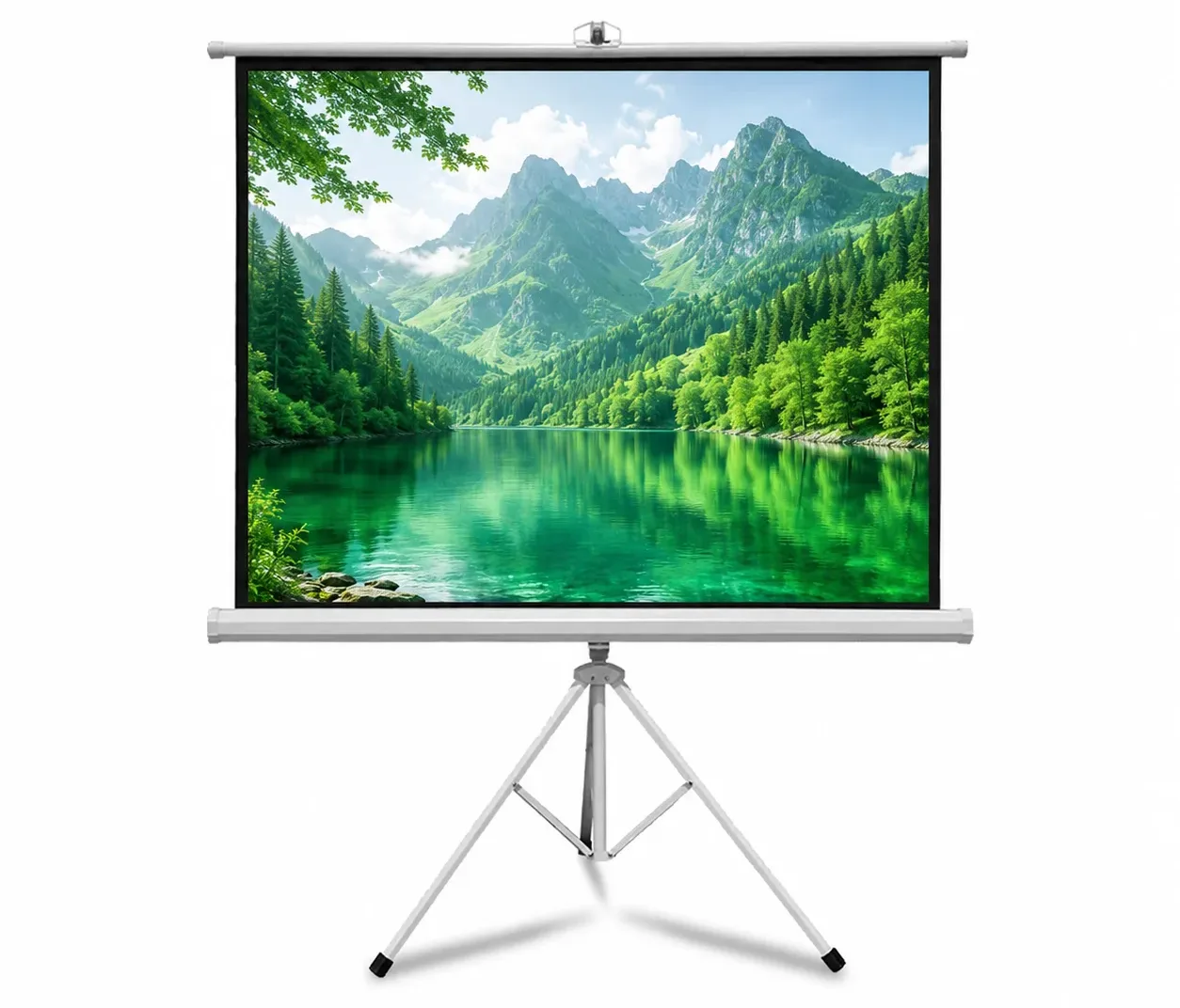 tripod Screen